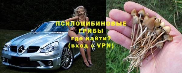 герыч Белокуриха