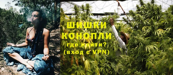 дживик Балахна