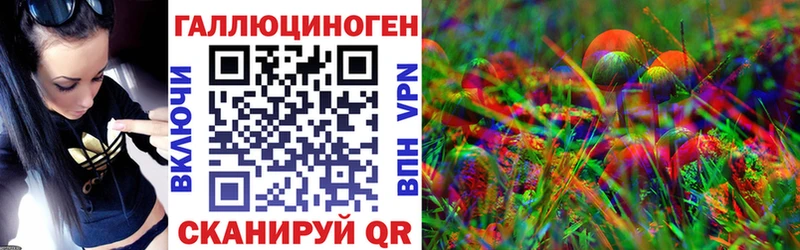 где купить   Горно-Алтайск  Галлюциногенные грибы Magic Shrooms 