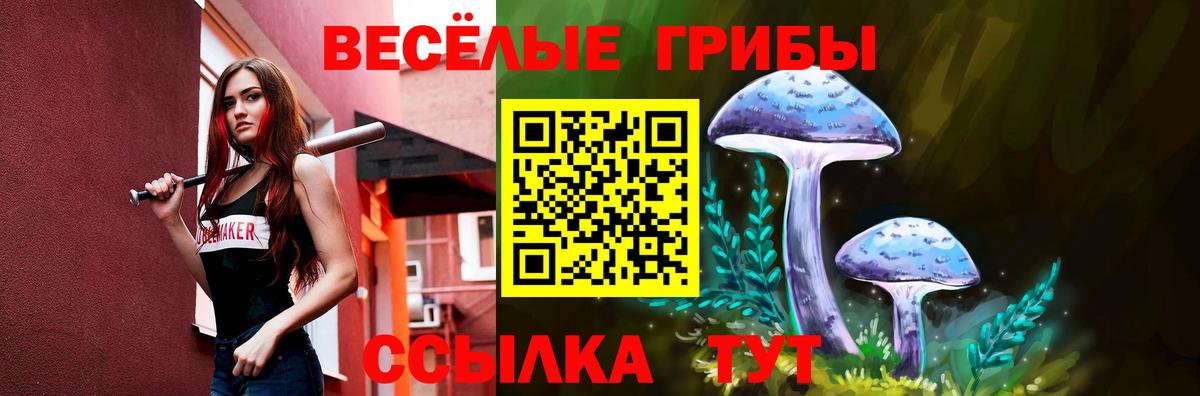 Псилоцибиновые грибы Cubensis  Вход с VPN  Горно-Алтайск 