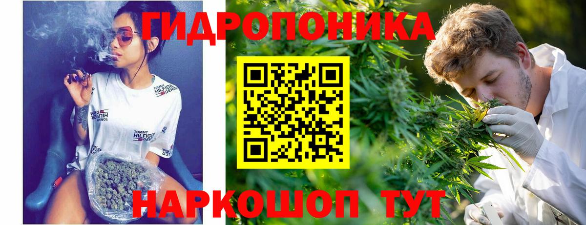 МАРИХУАНА MAZAR  МАРИХУАНА планчик  Вход с VPN  Горно-Алтайск 